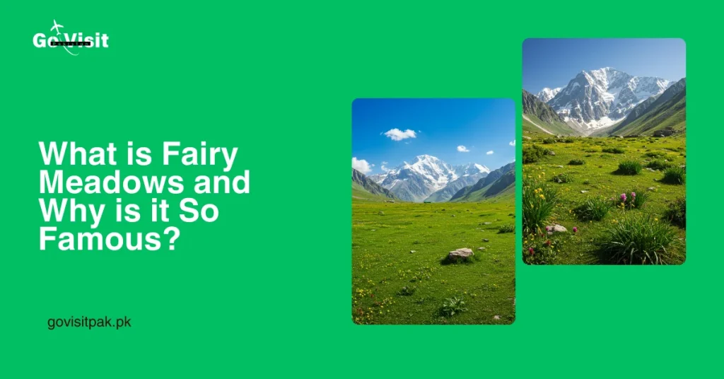 What is Fairy Meadows and Why is it So Famous