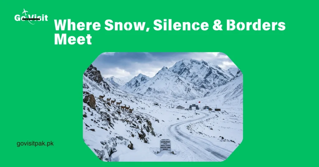 Khunjerab Pass Pakistan showcasing snow-covered border region, wildlife and Karakoram mountain landscape
