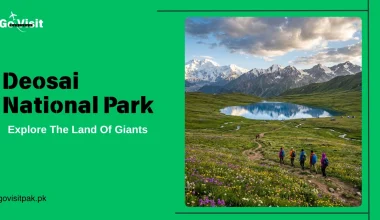 Deosai National Park featuring vast plains, Sheosar Lake and stunning landscapes in Gilgit Baltistan