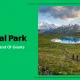 Deosai National Park featuring vast plains, Sheosar Lake and stunning landscapes in Gilgit Baltistan