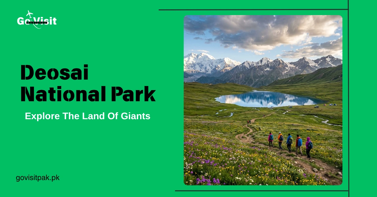Deosai National Park featuring vast plains, Sheosar Lake and stunning landscapes in Gilgit Baltistan