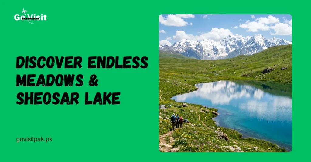 Deosai National Park showcasing Sheosar Lake, alpine meadows and breathtaking mountain scenery