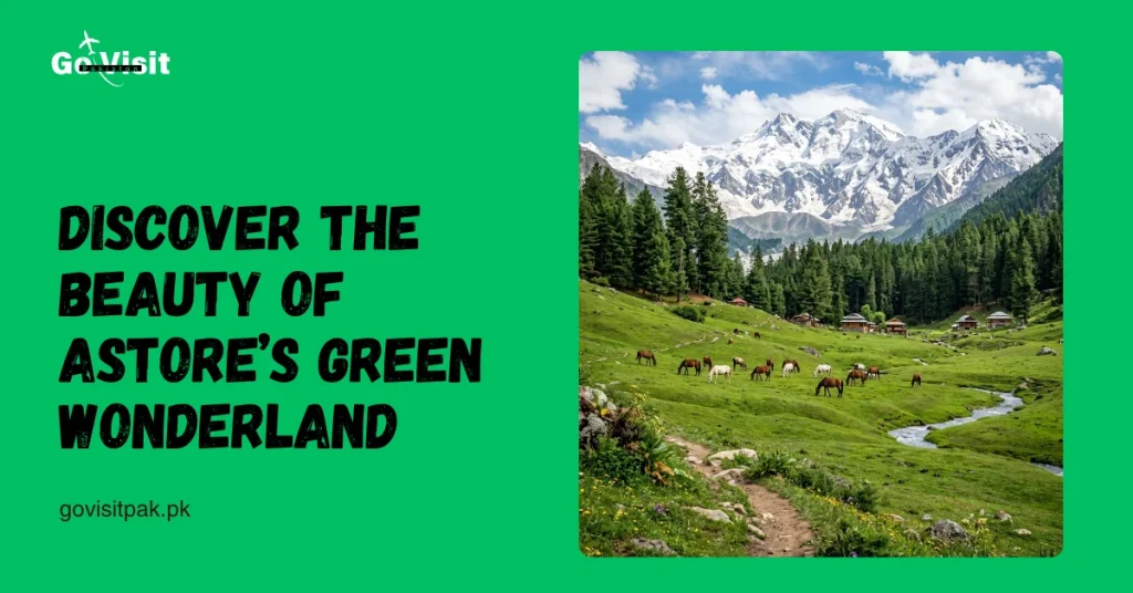 Rama Meadows and Rama Lake showcasing lush green meadows, forests and breathtaking natural beauty