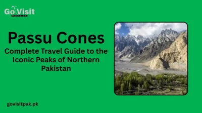Passu Cones