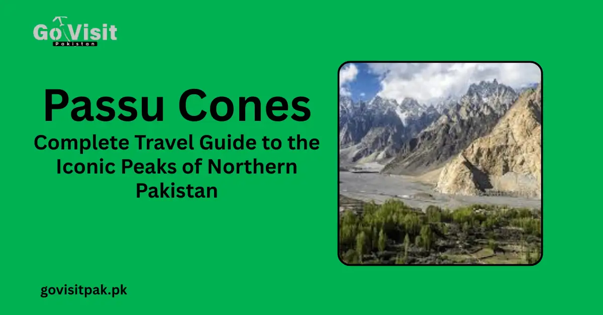 Passu Cones