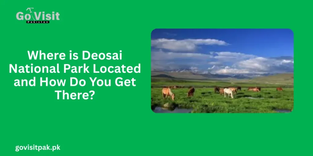 Where is Deosai National Park Located and How Do You Get There