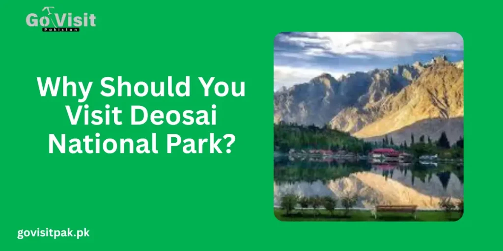 Why Should You Visit Deosai National Park?