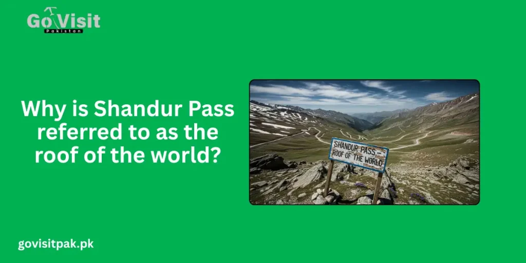 Why is Shandur Pass referred to as the roof of the world?